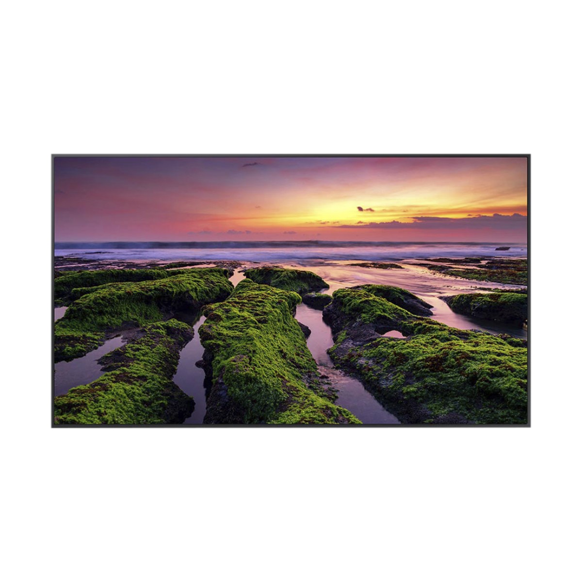 Pantalla Profesional LED de 75", UHD 4K (3840x2160p), Entradas de Video HDM, Bocinas Integradas de 10 W. Compatible VESA / compatible con Magic Info