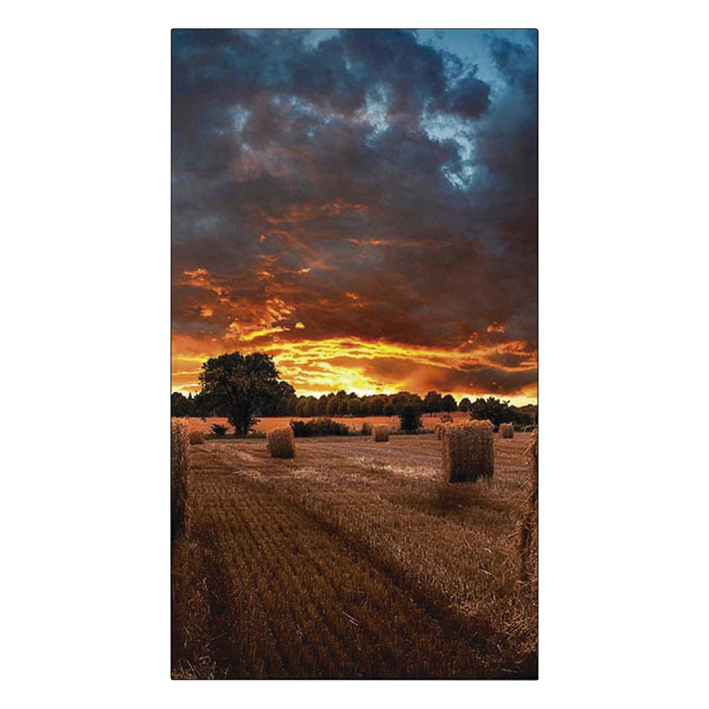 syscom_b2aa2ce8403e0aefbd54fdd09a14811a.png