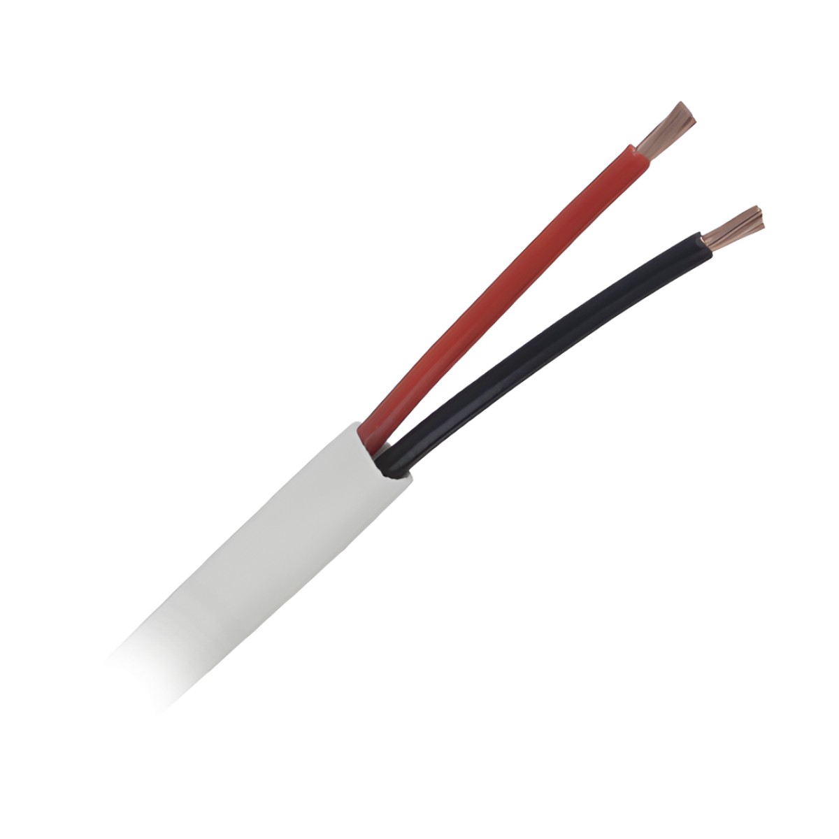Bobina de 152 Metros (500 Pies) / Cable Audacious / Premium 2x12 AWG / Riser / Libre de Oxigeno / Aplicaciones de Audio Profesional