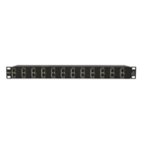 Protector Rack 12 Puertos / RJ45 / 10 GbE / PoE y PoE+ / CAT5e CAT6 CAT6A