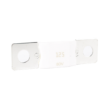 Mega Fuse 125A / 80V