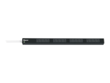 PDU Básico para Distribución de Energía, Enchufe de Entrada NEMA 5-20P, Con 16 Contactos NEMA 5-20R, de Instalación Vertical, 20 Amp, 120 Vca