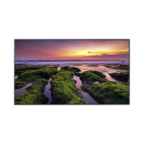 Pantalla Profesional LED de 75", UHD 4K (3840x2160p), Entradas de Video HDM, Bocinas Integradas de 10 W. Compatible VESA / compatible con Magic Info