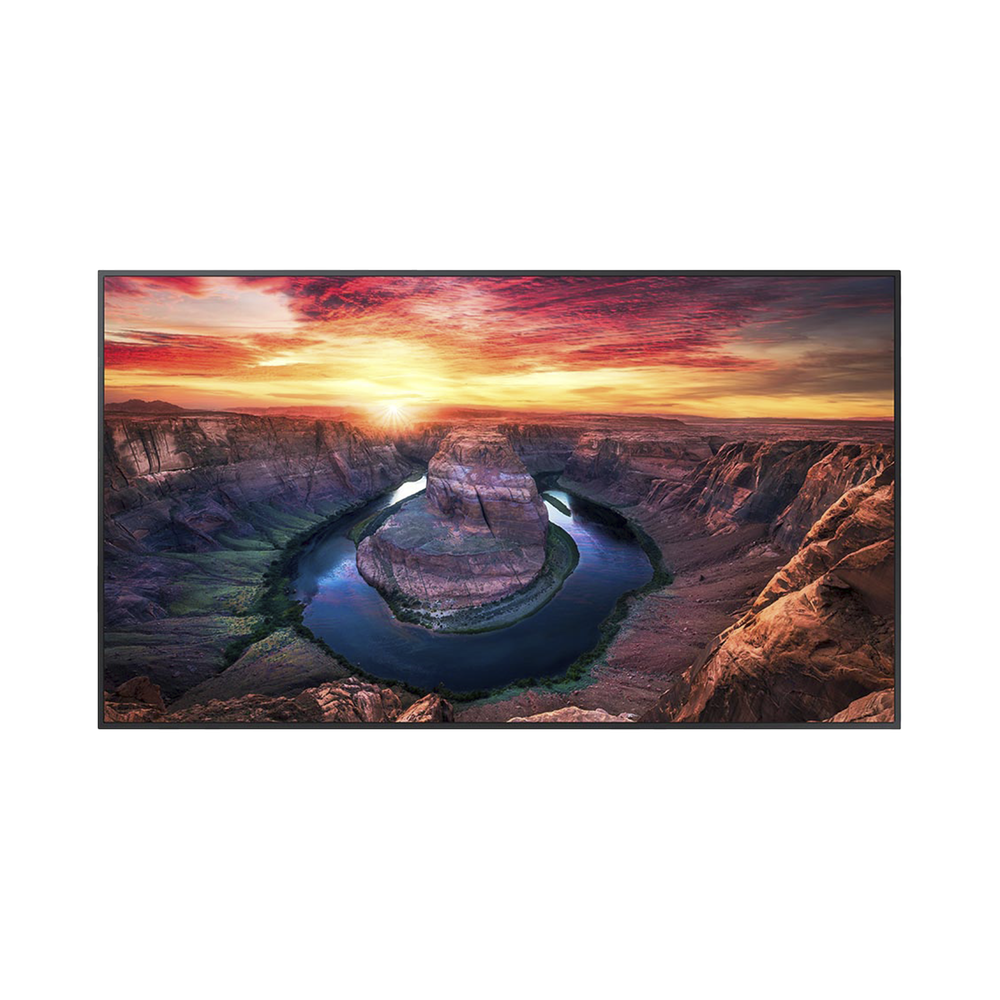 Pantalla Profesional LED de 75", UHD 4K (3840x2160p), Entradas de Video HDMI/DisplayPort, Bocinas Integradas de 10 W. Compatible VESA. Modo de Simulación DICOM